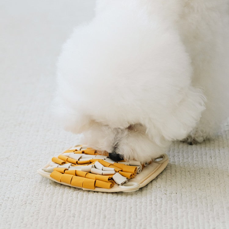 treat-dispensing toys