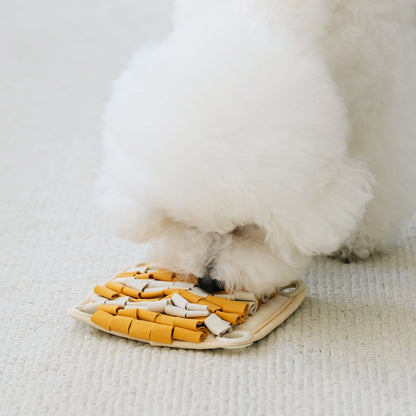 treat-dispensing toys