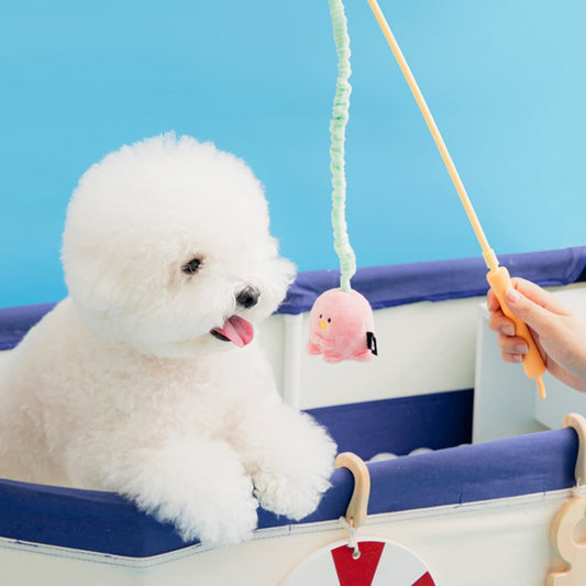 safe non-toxic pet chew toys