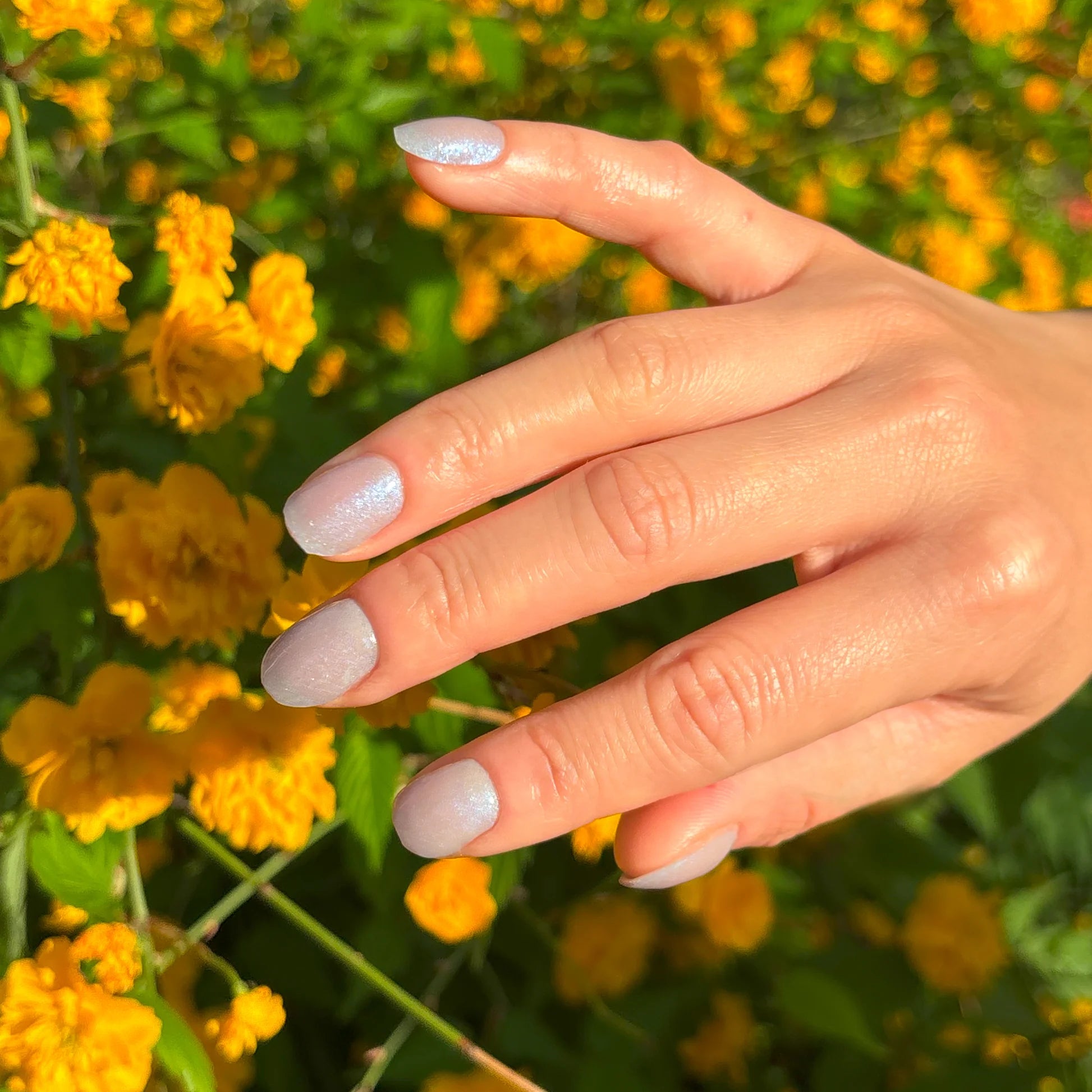 semi cured gel nails south africa